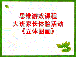 大班数学《立体图画》PPT课件大班立体图画.ppt