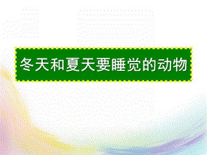 幼儿园《冬天和夏天要睡觉的动物》PPT课件冬天和夏天要睡觉的动物.ppt