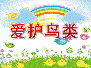 中班综合《爱护鸟类》PPT课件教案ppt.ppt