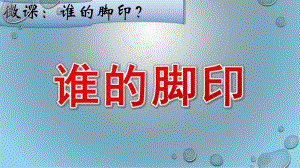 小班科学《谁的脚印》PPT课件教案微课件.ppt