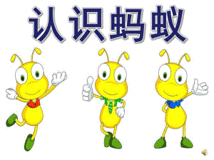 大班科学活动《认识蚂蚁》PPT课件教案视频音乐大班科学《认识蚂蚁》.ppt