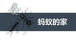 大班美术《蚂蚁的家》PPT课件教案少儿绘画之《蚂蚁的家》.ppt