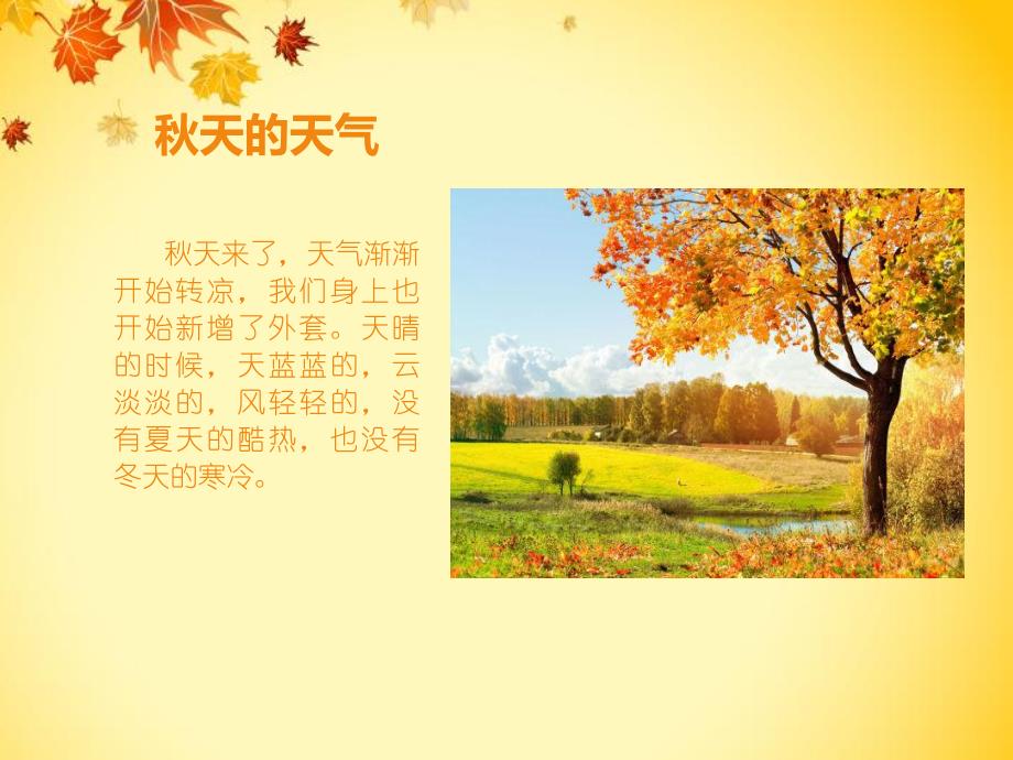 大班语言《我眼中的天》PPT课件教案我眼中的天(大班说新闻PPT.ppt_第2页