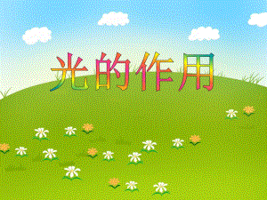 大班科学《光的作用》PPT课件大班科学《光的作用》PPT课件.ppt