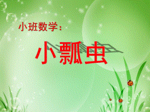 小班数学《小瓢虫》PPT课件教案小班数学：小瓢虫课件.ppt