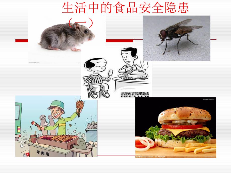 大班安全教育《食物变质啦!》PPT课件大班安全教育《食物变质啦!》PPT课件.ppt_第3页