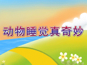 中班科学《动物睡觉真奇妙》PPT课件教案动物睡觉真奇妙.ppt