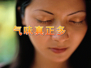 大班健康《气味真正多》PPT课件教案气味真正多.ppt