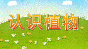 大班语言科学《认识植物》PPT课件教案大班语言：幼儿园的植物.ppt