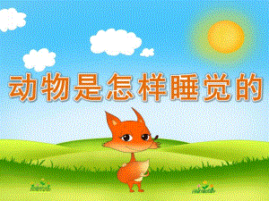 幼儿园《动物是怎样睡觉的》PPT课件教案PPT课件.ppt