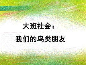 大班社会《我们的鸟类朋友》PPT课件社会：我们的鸟类朋友.ppt