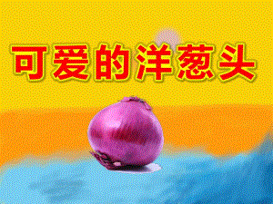 大班科学《可爱的洋葱头》PPT课件教案洋葱.ppt