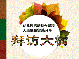 大班主题科学《拜访大树》PPT课件拜访大树.ppt