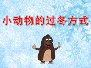 大班《小动物的过冬方式》PPT课件教案PPT课件.ppt