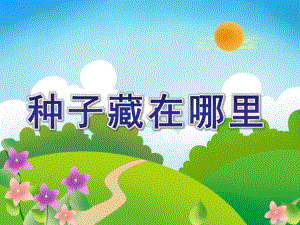 大班科学活动《种子藏在哪里》PPT课件教案大班科学：种子藏在哪里.ppt