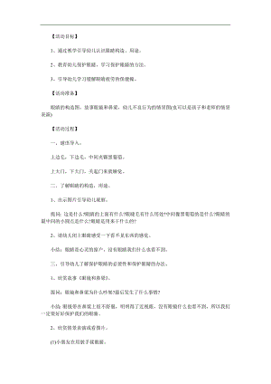 大班健康《爱护眼睛》PPT课件教案参考教案.docx