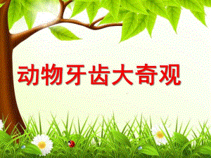 大班健康《动物牙齿大奇观》PPT课件动物牙齿大奇观.ppt
