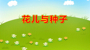 大班科学《花儿与种子》PPT课件大班科学《花儿与种子》PPT课件.ppt