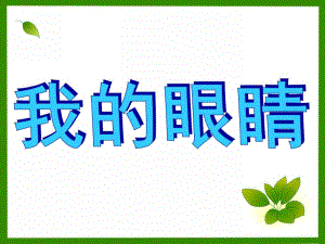 大班健康活动《我的眼睛》PPT课件教案PPT课件.ppt