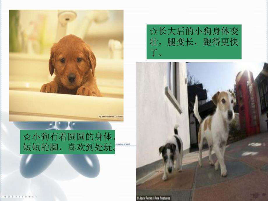 大班主题《只要我长大》PPT课件只要我长大.ppt_第3页