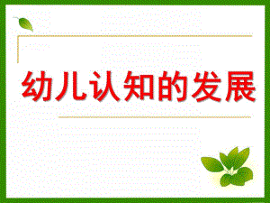 幼儿园幼儿认知的发展PPT第七章幼儿认知的发展...ppt