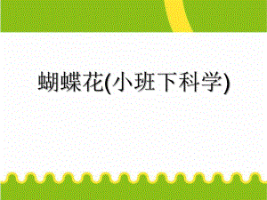 小班科学《蝴蝶花》PPT课件教案蝴蝶花(小班下科学.ppt