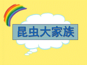 大班科学《昆虫大家族》PPT课件大班《昆虫大家族》.ppt