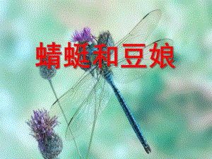 大班科学活动《蜻蜓和豆娘》PPT课件大班科学活动《蜻蜓和豆娘》PPT课件.ppt