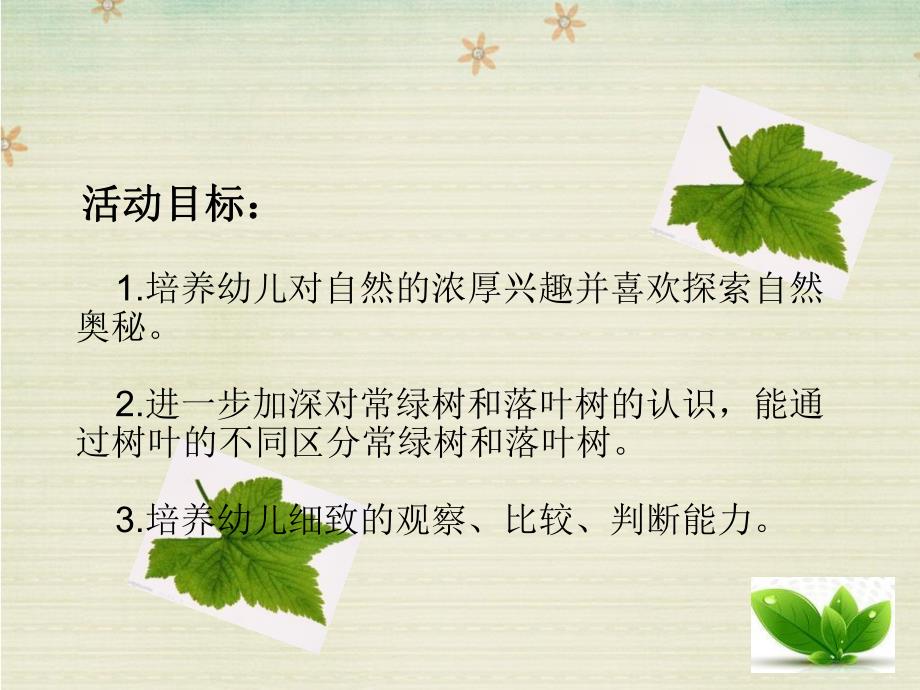 大班科学《树叶宝宝回家了》PPT课件大班科学《树叶宝宝回家了》PPT课件.ppt_第2页