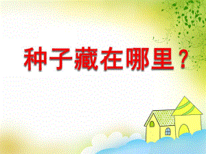 大班科学《种子藏在哪里？》PPT课件大班科学《种子藏在哪里？》PPT课件.ppt