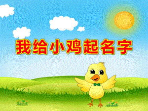 我给小鸡起名字PPT课件教案PPT课件.ppt
