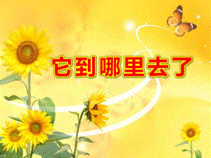 大班科学《它到哪里去了》PPT课件教案大班课件---它到哪里去了.ppt