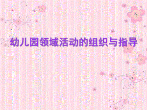 幼儿园领域活动的组织与指导PPT课件幼儿园领域活动的组织与指导PPT课件.ppt