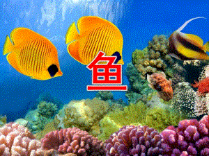 小班美术《鱼》PPT课件教案美术课--鱼.ppt