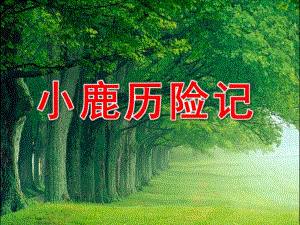 大班综合《小鹿历险记》PPT课件教案.ppt