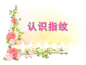 幼儿园《认识指纹》PPT课件认识指纹.ppt
