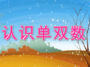 大班数学活动《认识单双数》PPT课件教案.ppt
