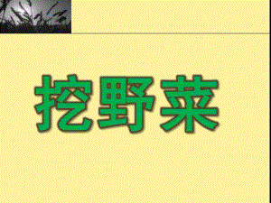 大班科学《挖野菜》PPT课件教案大班科学：挖野菜.ppt