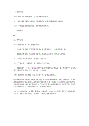 大班安全《小猫小狗会伤人》PPT课件教案参考教案.docx