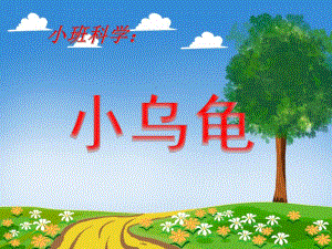 小班科学《小乌龟》PPT课件小班科学《小乌龟》PPT课件.ppt