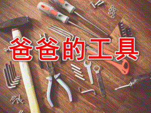 大班科学《爸爸的工具》PPT课件教案PPT课件.ppt