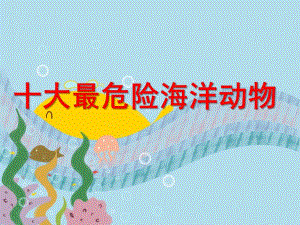 大班社会《十大最危险海洋动物》PPT课件十大最危险海洋动物.ppt