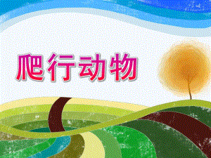 幼儿园《爬行动物》PPT课件ppt课件.ppt