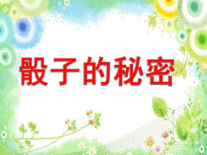 学前班数学《骰子的秘密》PPT课件骰子的秘密.ppt