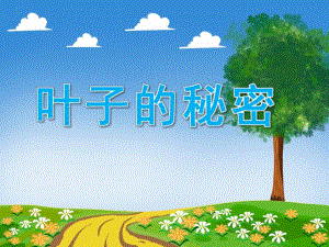 小班主题《叶子的秘密》PPT课件教案PPT课件.ppt