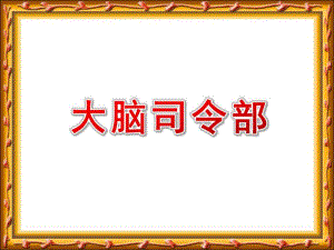 大班健康《大脑总司令》PPT课件教案人体的司令部大脑.ppt