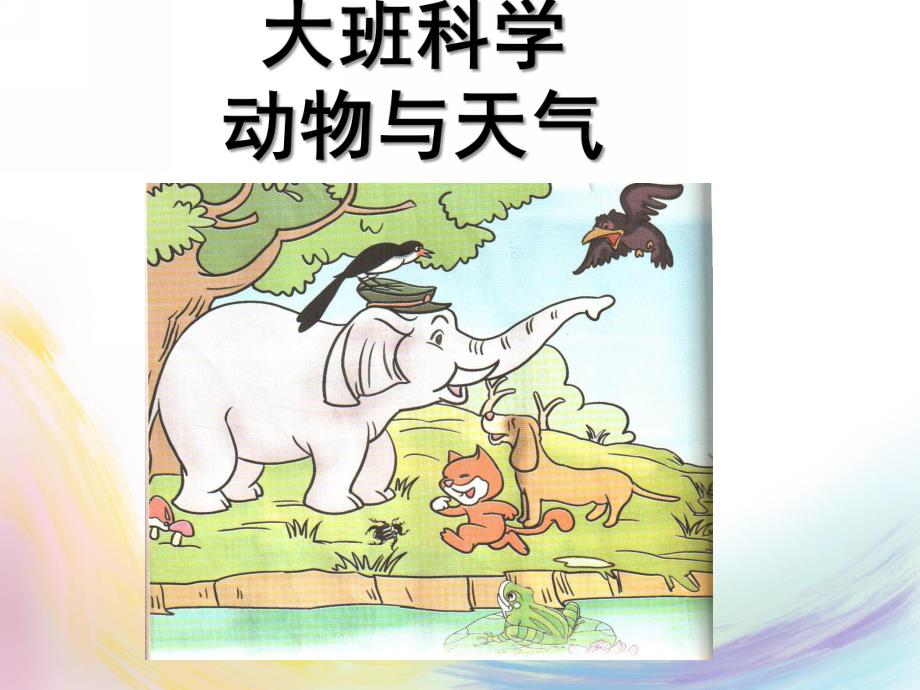 大班科学《动物和天气》PPT课件教案大班科学:动物和天气.ppt_第1页