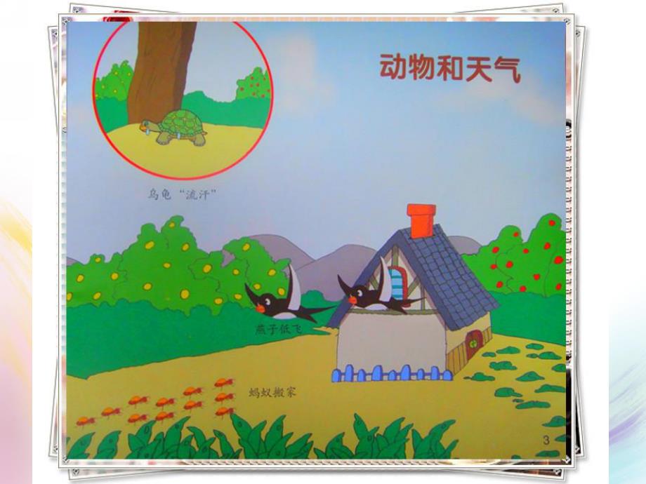 大班科学《动物和天气》PPT课件教案大班科学:动物和天气.ppt_第3页