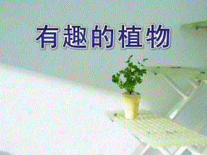 大班科学《有趣的植物》PPT课件教案有趣的植物.ppt