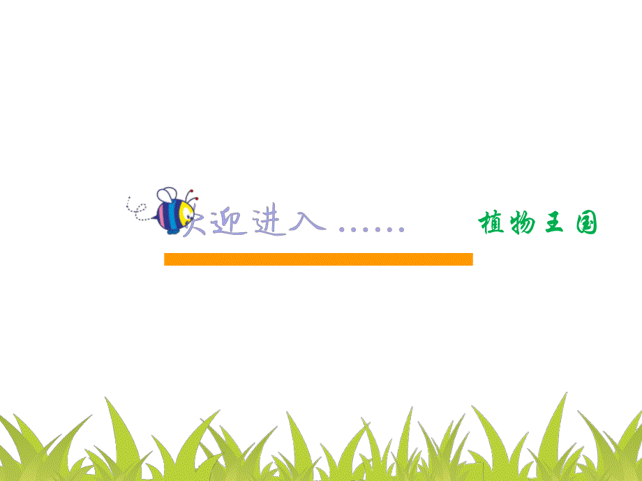 大班科学《植物王国》PPT课件教案160323-幼儿园讲课PPT-植物.ppt_第2页